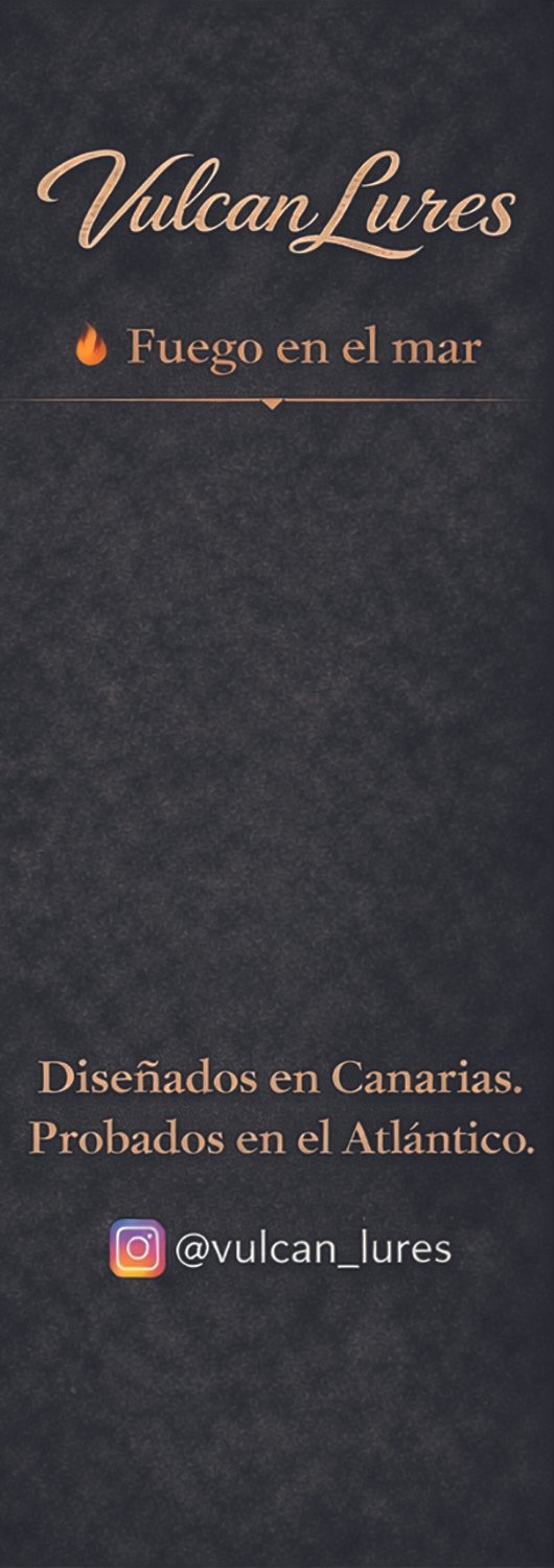 Custom-made Paper Cards for Retrail Plastic Box or Others - Image 3